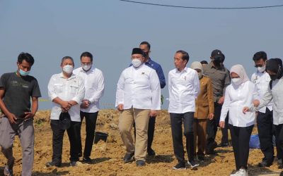 Presiden Luncurkan Food Estate Berbasis Mangga Pertama Di Indonesia
